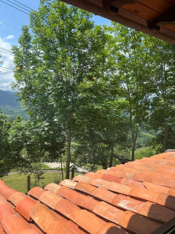Apartamentos La Cabana Del Cerro Alto Beceña Buitenkant foto